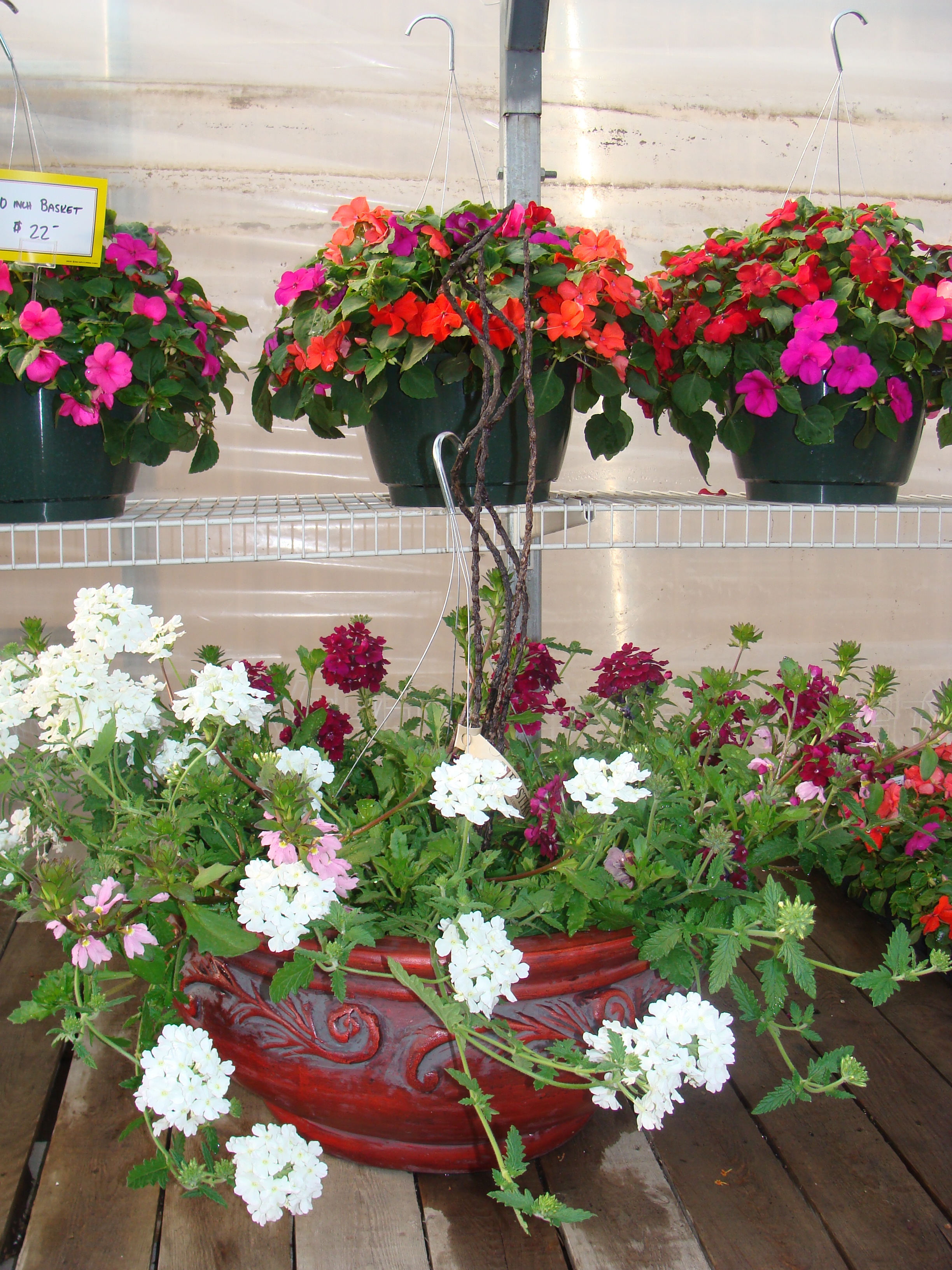 flowers&pots 08 031