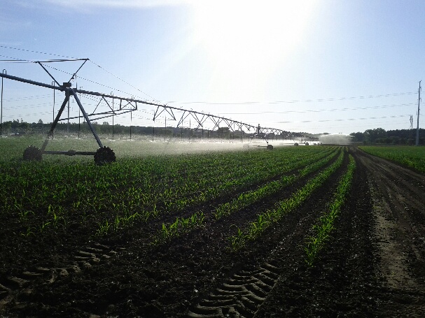 irrigation photo