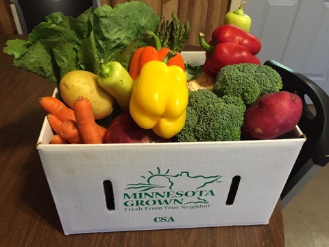 CSA Box