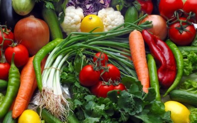 Save the Day with a Costa Farm CSA! Sign up Today